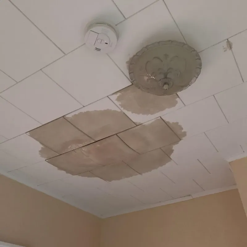 Ceiling Water Damage Repair in Masaryktown, FL