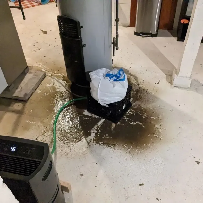Sewage Backup Cleanup Service in Masaryktown, FL